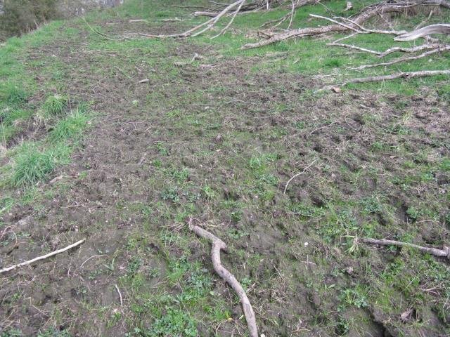 Mud and sticks. Cambridge Tree Trust